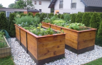 PRIDELAVA VRTNIN IN ZELIŠČ V VISOKIH GREDAH - sam svoj mojster
