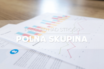 PREGLED NAD STROŠKI – VODENJE DRUŽINSKEGA PRORAČUNA V EXCELU